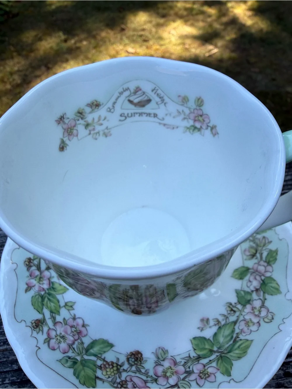 Royal Doulton Brambly Hedge Teacup and Saucer “Summer”Bone China 1983